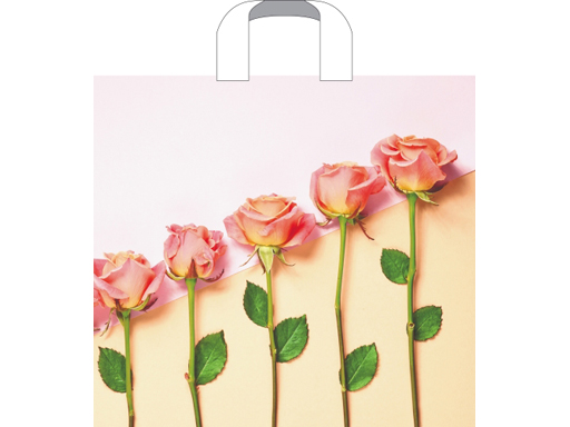 Пакет ПЭ с петлевой ручкой 38х43+3 (70) (Признание) Россия Пакет ПЭ с петлевой ручкой 38х43+3 (70) (Признание) Россия