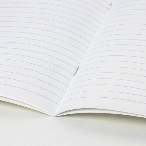 Тетрадь 24л. BRAUBERG КЛАССИКА NEW линия, обложка картон, АССОРТИ (5 видов)