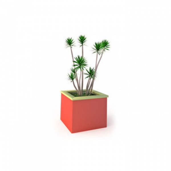 Цветочница малая 1.3